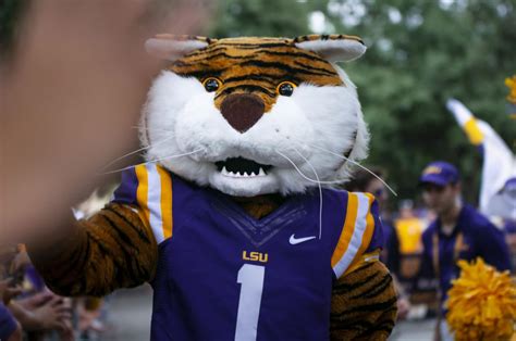 The Impact of LSU's Tiger Mascot on School Spirit and Pride